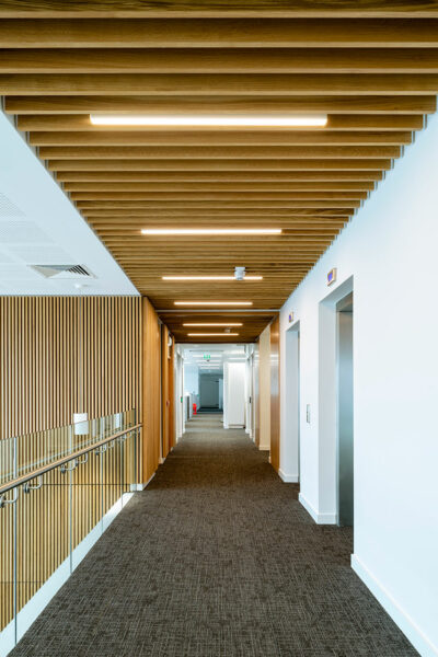 Corridor with dark carpeting and wooden beam ceiling. White walls allows the light to reflect off.